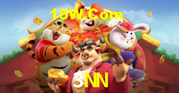 3NN - Installation Guide