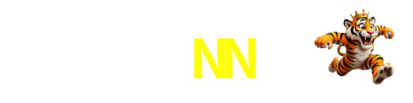 3NN